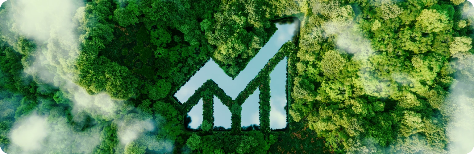 sustain-forest-2
