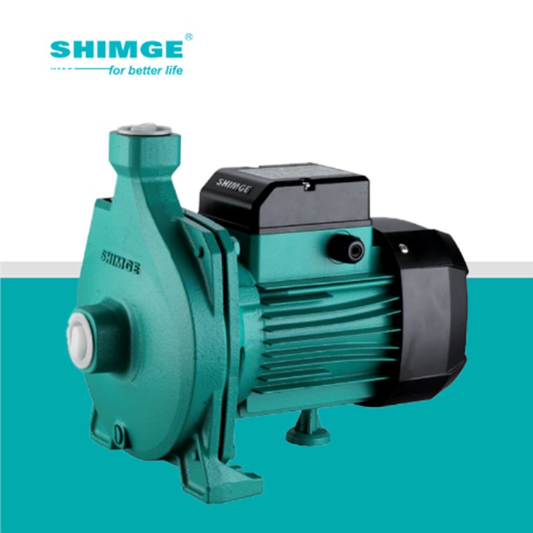 SHIMGE CPM158 1 HP, 220V TEK KADEMELİ SANTRİFÜJ POMPA